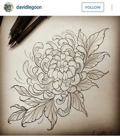 a drawing of a flower with leaves on it