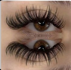 Lash Babe, Perfect Lashes, Lash Extentions, Lashes Tutorial, Pretty Brown Eyes, Eyelashes Extensions, Lashes Extensions