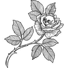 a black and white drawing of a rose