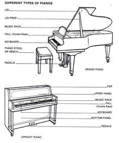 the parts of a grand piano