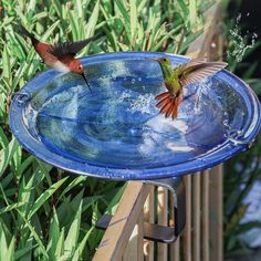 PRICES MAY VARY. 【Deck Mounted Birdbath】Filled this deck bird bath with water to attract birds to your yard, and enjoy bird watching as bird drink or bath, install it on the deck to be a clear view to enjoy interesting entertainment 【Easy to Install and Clean】No tools required, just follow assembly instructions to put together bird bath with clamp, and adjusts to hold securely to your deck railing. Wipe this glass bird bath bowl clean easily with dry cloth or rinses with water 【Durable Material】 Solar Bird Bath, Bird Bath Bowl, Glass Bird Bath, Yard Deck, Deck Railing, Bird Baths, Fountain Pump, Wild Bird Food, How To Attract Birds