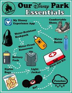 the disney park essentials info sheet