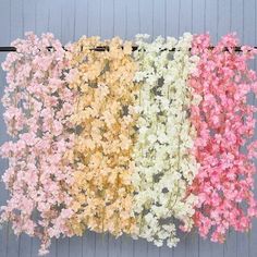 four different colored flowers hanging on a wall