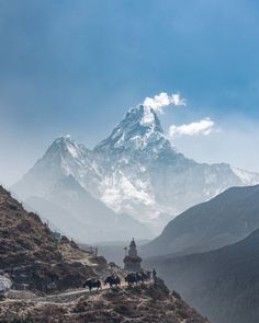 the mountain is covered in snow and has many animals walking on it's side