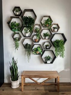 a wooden bench sitting next to a wall mounted planter filled with potted plants