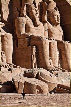 an ancient egyptian temple in the desert with large statues on it's sides and a dog standing next to it