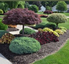 a garden filled with lots of different types of trees and shrubs in front of houses