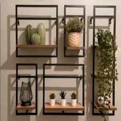 some shelves with plants and potted plants on them in front of a white wall