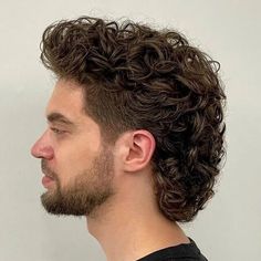 Curly Mullet Hairstyles For Men | Voluminous Curly Mullet Hairstyles For Men Perm Mullet, Loose Perm, Back Layers, Mullet Hairstyles, Curly Hair Fade, Men Portraits