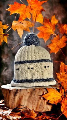 a knitted hat sitting on top of a tree stump in front of fall leaves