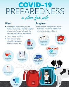 COVID-19 pareparedness: A plan for pets. #petemergency #catemergency #dogemergency #petemergencykit #dogemergencykit #catemergencykit #petemergencykitchecklist #dogemergencykitchecklist #catemergencykitchecklist #emergencychecklist #doghealth #cathealth #pethealth #covid19 #covid #coronavirus #covid19pets #covidemergencykit #covidpetemergencykit #coronaviruspets Evacuation Plan, Companion Animals, Pet Organization, Emergency Plan, Important Message, Community Outreach, Fact Sheet, Make A Plan, Soft Skills