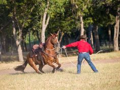 a man in red shirt pulling a brown horse