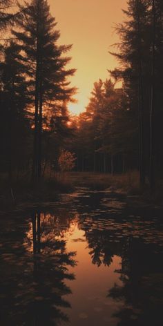 the sun is setting behind some trees in the water and reflecting it's reflection