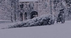 there is a statue in front of a building that has snow on the ground around it