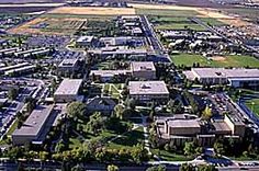 an aerial view of a large city with lots of buildings and trees in the foreground