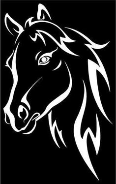 a horse's head in black and white on a dark background stock photo - budget conscious