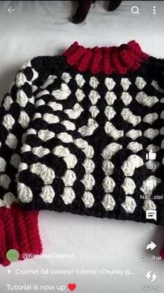 a black and white crocheted sweater with red trim