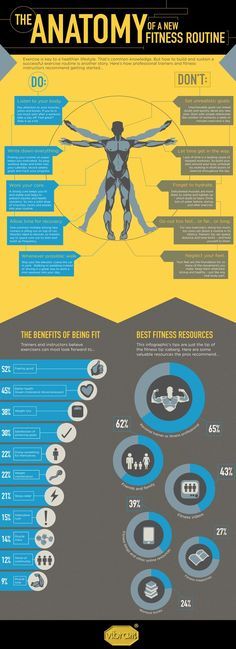 The Anatomy of A New Fitness Routine Infographic The Human Body, Health Blog, Health Info, Physical Fitness, Get In Shape, Get Healthy, Workout Programs, Fun Workouts, Different Types