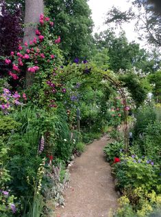 a garden with lots of flowers and trees