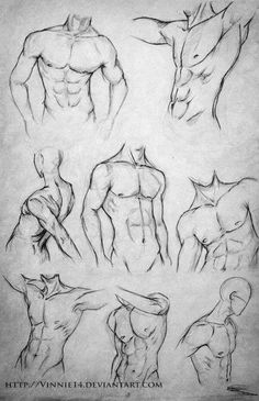 some drawings of different poses and muscles