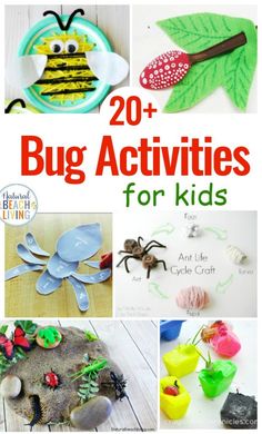 20 bug activities for kids to make