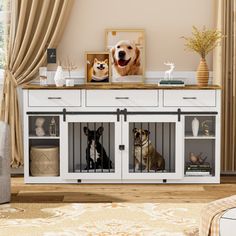 two dogs are sitting in their kennels on top of the table next to each other