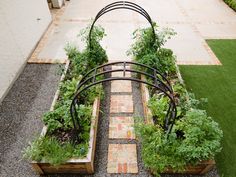 an outdoor garden area with various plants in the center and brick walkway leading up to it