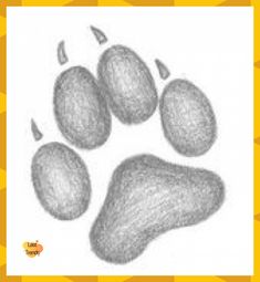 an animal's paw is shown in this drawing