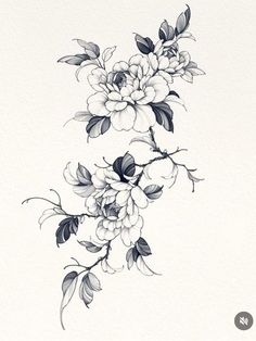 some flowers on a white paper with black ink