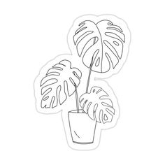 a drawing of a potted plant on a sticker that says,'monster leaves '