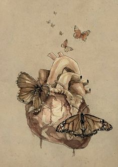 a drawing of a human heart with two butterflies flying around it and one butterfly sitting on top of the heart