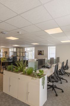 an office cubicle with desks and plants on the top shelf in front of them