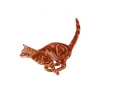 an orange and white striped cat jumping up in the air with its tail spread out