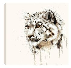 a drawing of a snow leopard's face