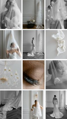 black and white wedding photos with veils