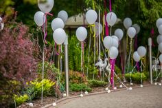 many white balloons are lined up along the sidewalk