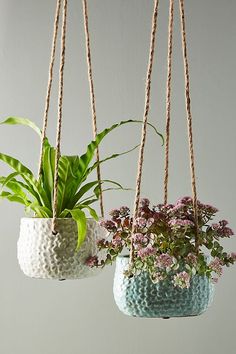 two hanging planters with plants in them on rope hang from the ceiling and one is filled with purple flowers