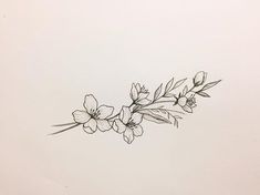 a black and white drawing of some flowers