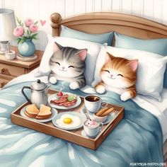 two cats laying on a bed with breakfast items