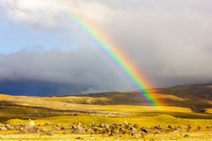 Few weather phenomena are as breathtaking as a rainbow stretching across the sky. These pictures showcase nature’s magic that happens only after a storm. Save this pin to remind you of the stunning photo opportunities nature offers! Free To Use Images, Wealthy Affiliate, Steps To Success, Prayer For Today