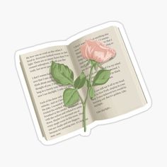 an open book with a single pink rose on the page sticker, isolated against a white background