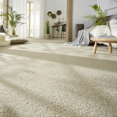 a living room filled with lots of furniture and plants on top of carpeted flooring