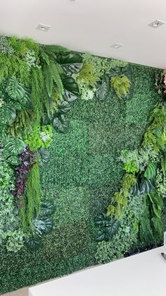 a green wall with lots of plants on it