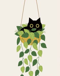 a black cat sitting on top of a green plant hanging from a string with leaves