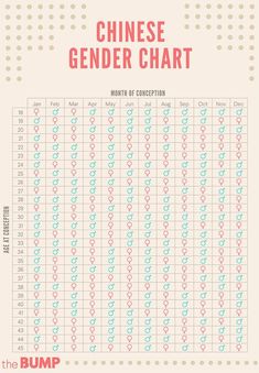 the chinese gender chart is shown in pink and blue