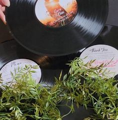 a record player is holding an old black record with green plants growing out of it