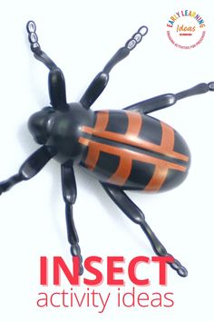 an insect is shown with the words insect activity ideas on it's back side