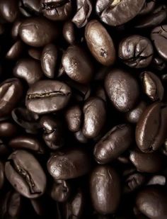 coffee beans are shown in close up view