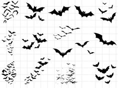 the silhouettes of bats are shown in black and white, as well as an image of