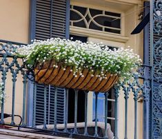 a basket with flowers hanging from the side of a building in front of a window